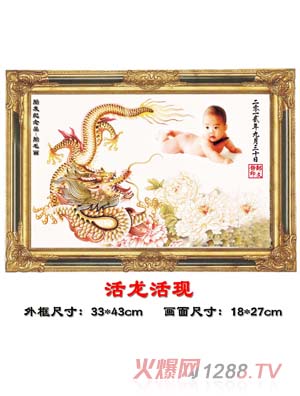 ������������F(xi��n)̥ë��