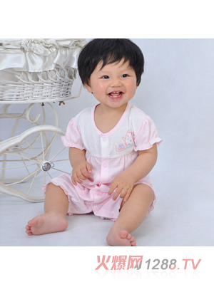 ��ȼ������Ĺ�����(n��i)��