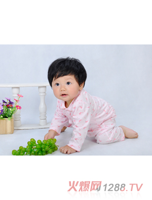 ��ȼ����B����Ԋ(sh��)��(n��i)��