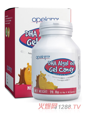 �W����DHA���z�ǹ�