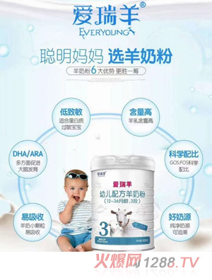 愛瑞羊youe配方羊奶粉（12-36月齡，3段）