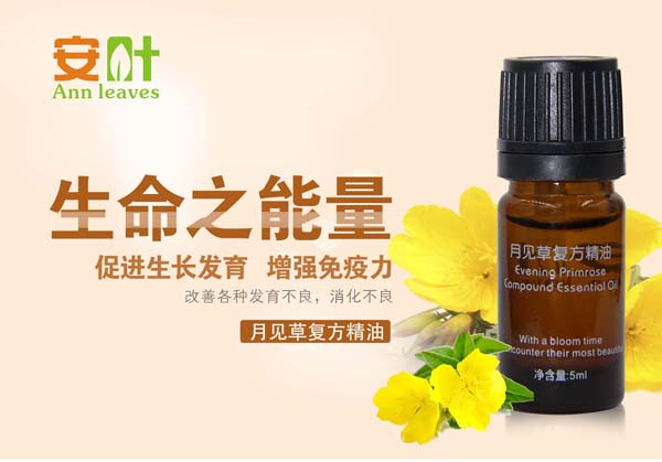  ���~��Ҋ�ݏ�(f��)������